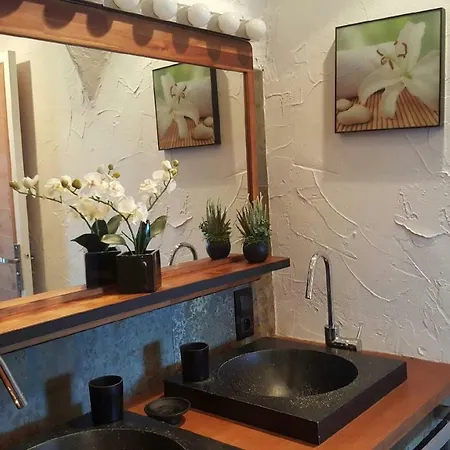 Apartment La Gavaresse *